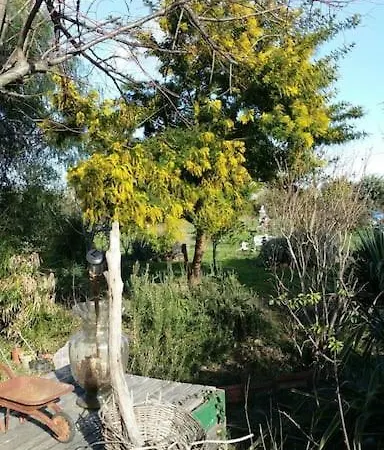 Holiday home Gite 3 Pieces Dans Mas Catalan Proche Centre *